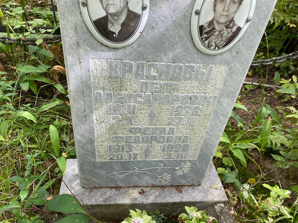 Краснов Петр Александрович