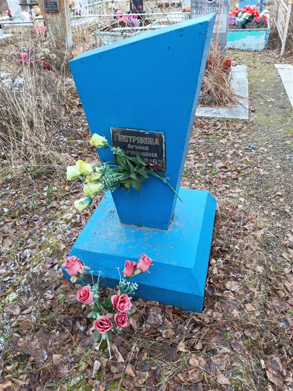 Пестрякова Агния Евгеньевна