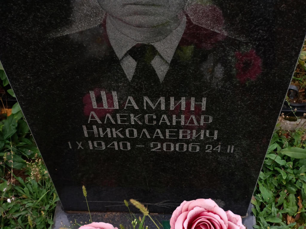 Шамин Александр Николаевич