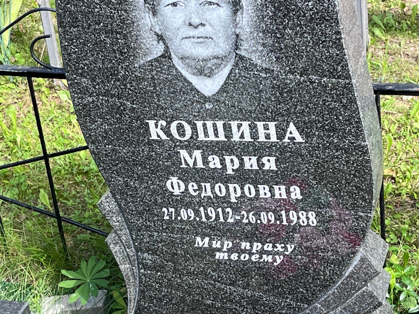 Кошина