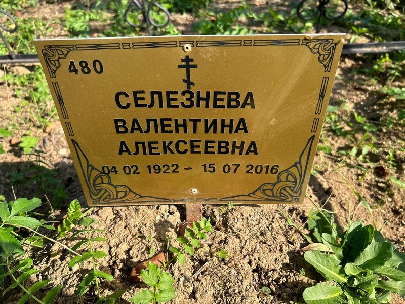 Селезнева