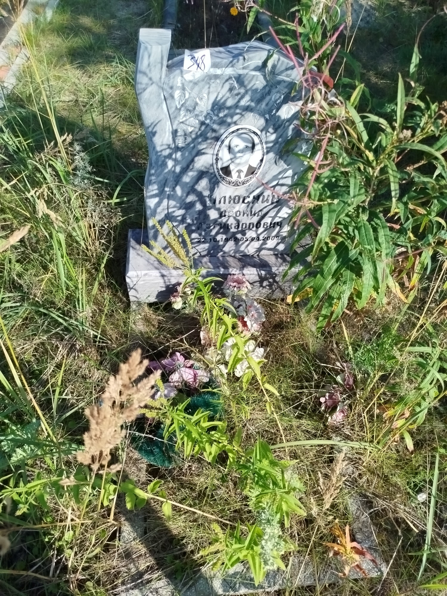 Плюснин Леонид Поликарпович