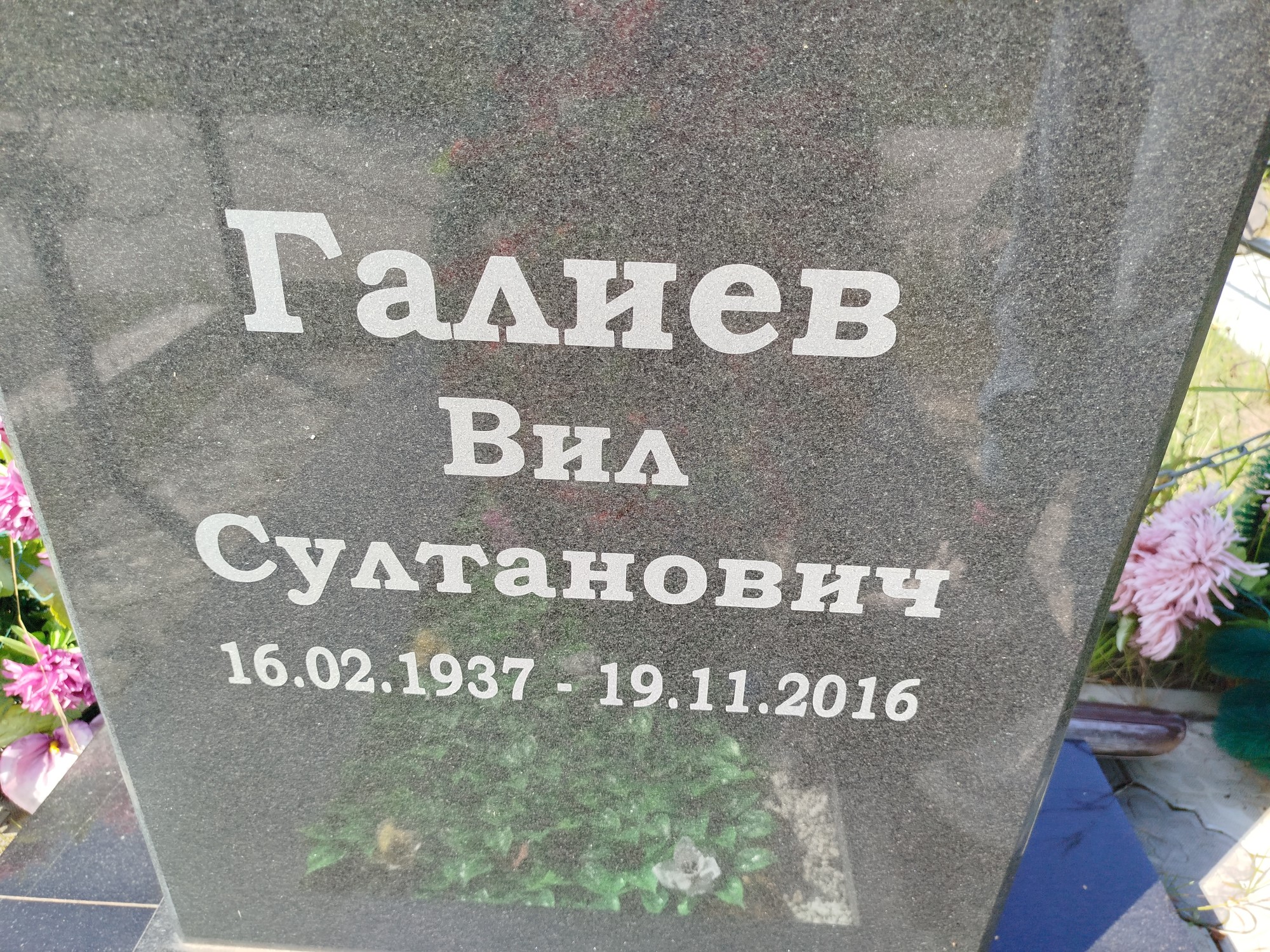 Галиев Вил Султанович