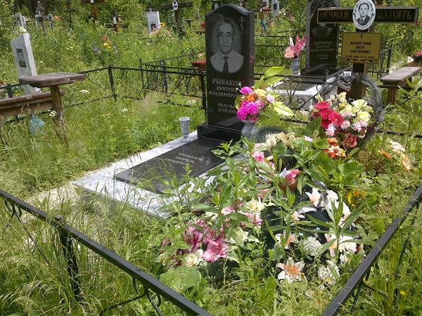 Волостнов Петр Сергеевич