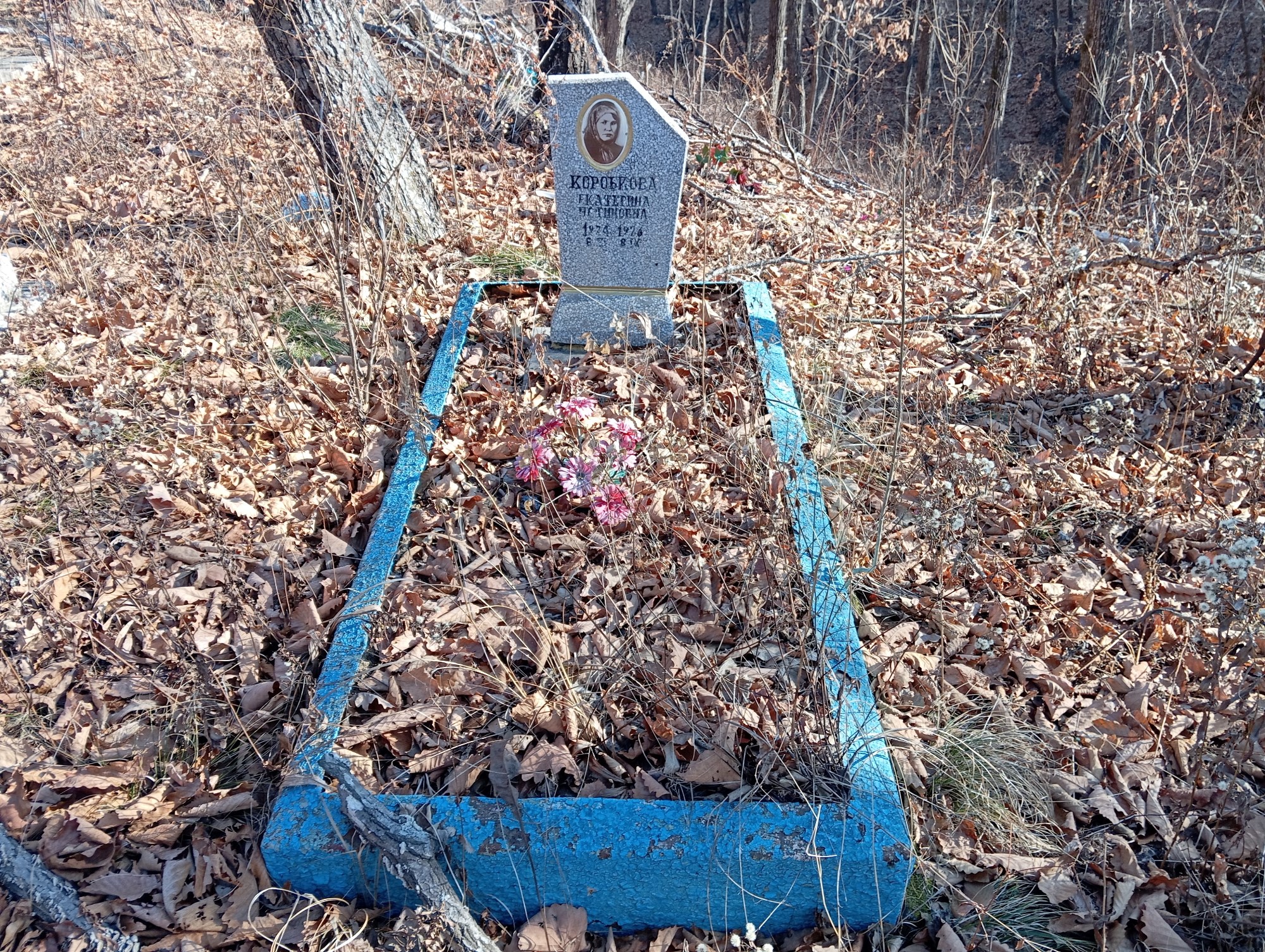 Коробкова Екатерина Устиновна