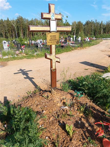 Влазнева Светлана Николаевна