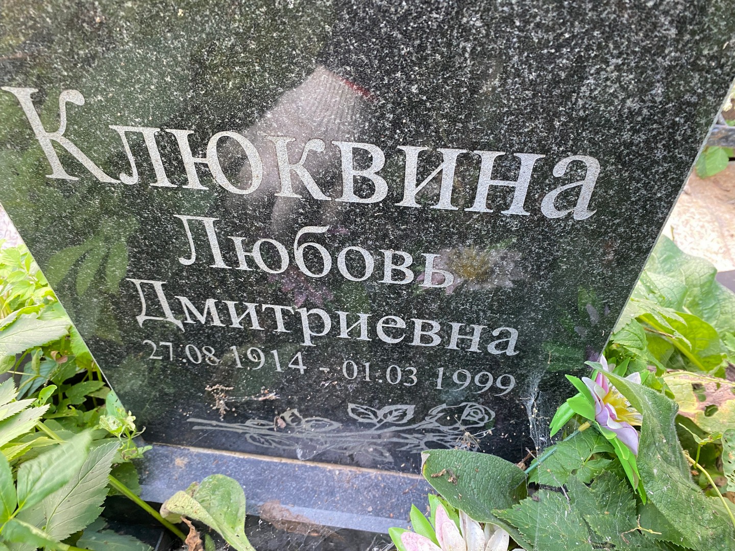 Клюквина