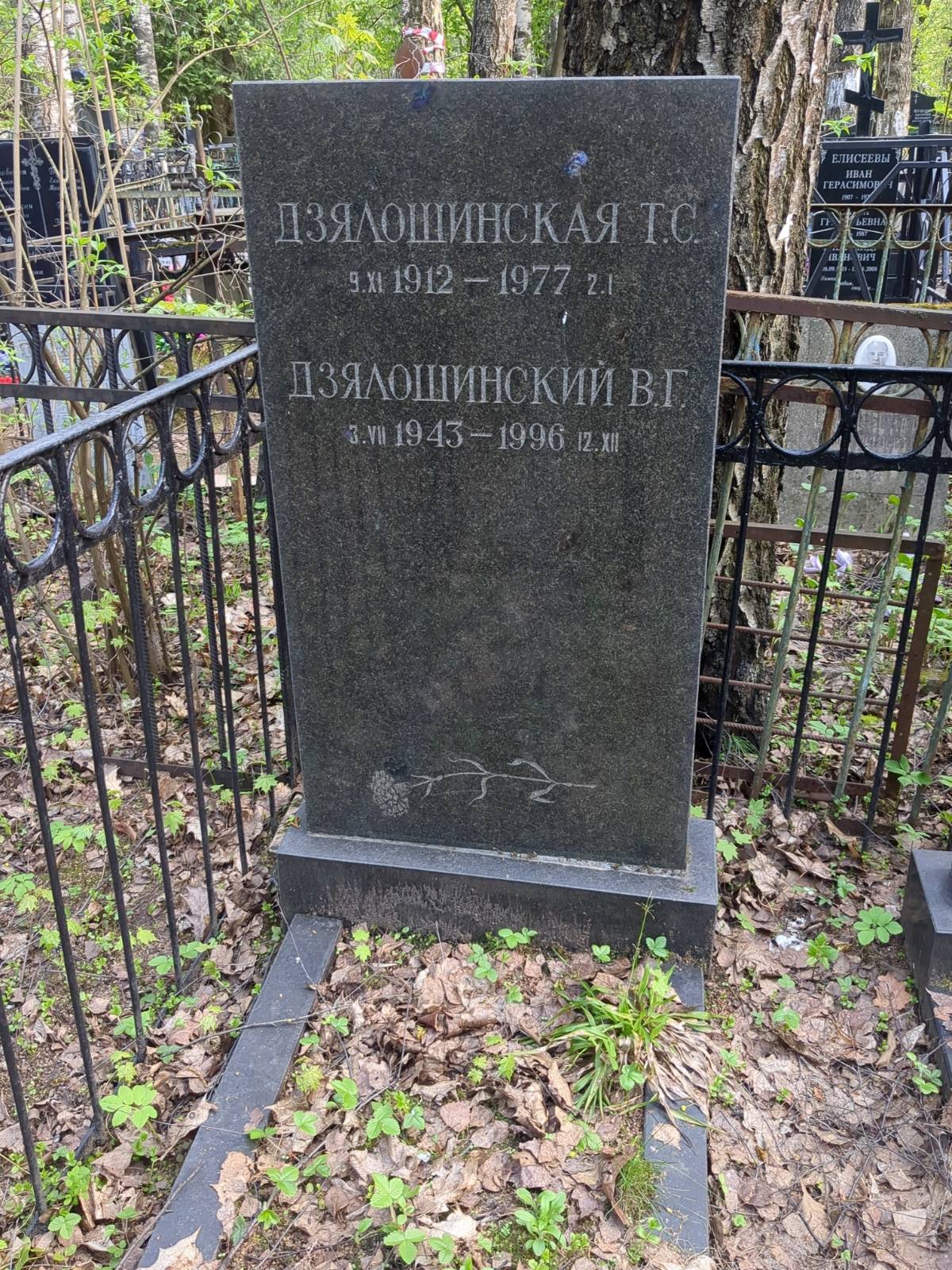 Дзялошинская Т. С.