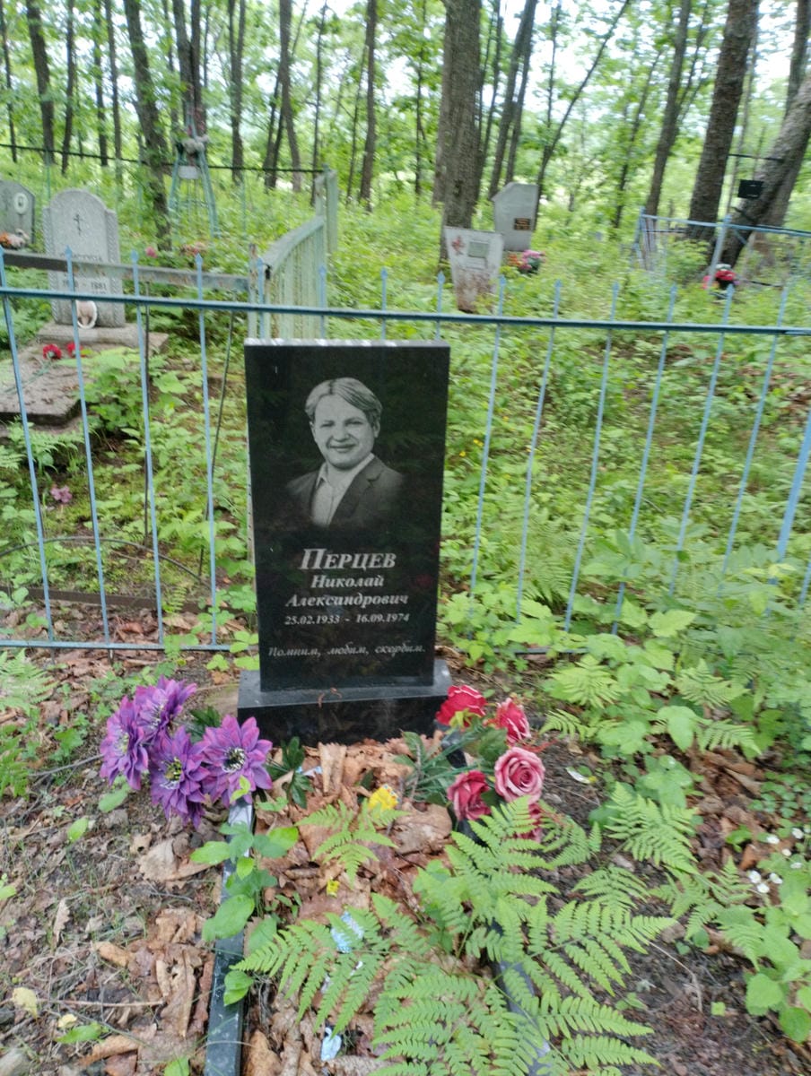Перцев Николай Александрович