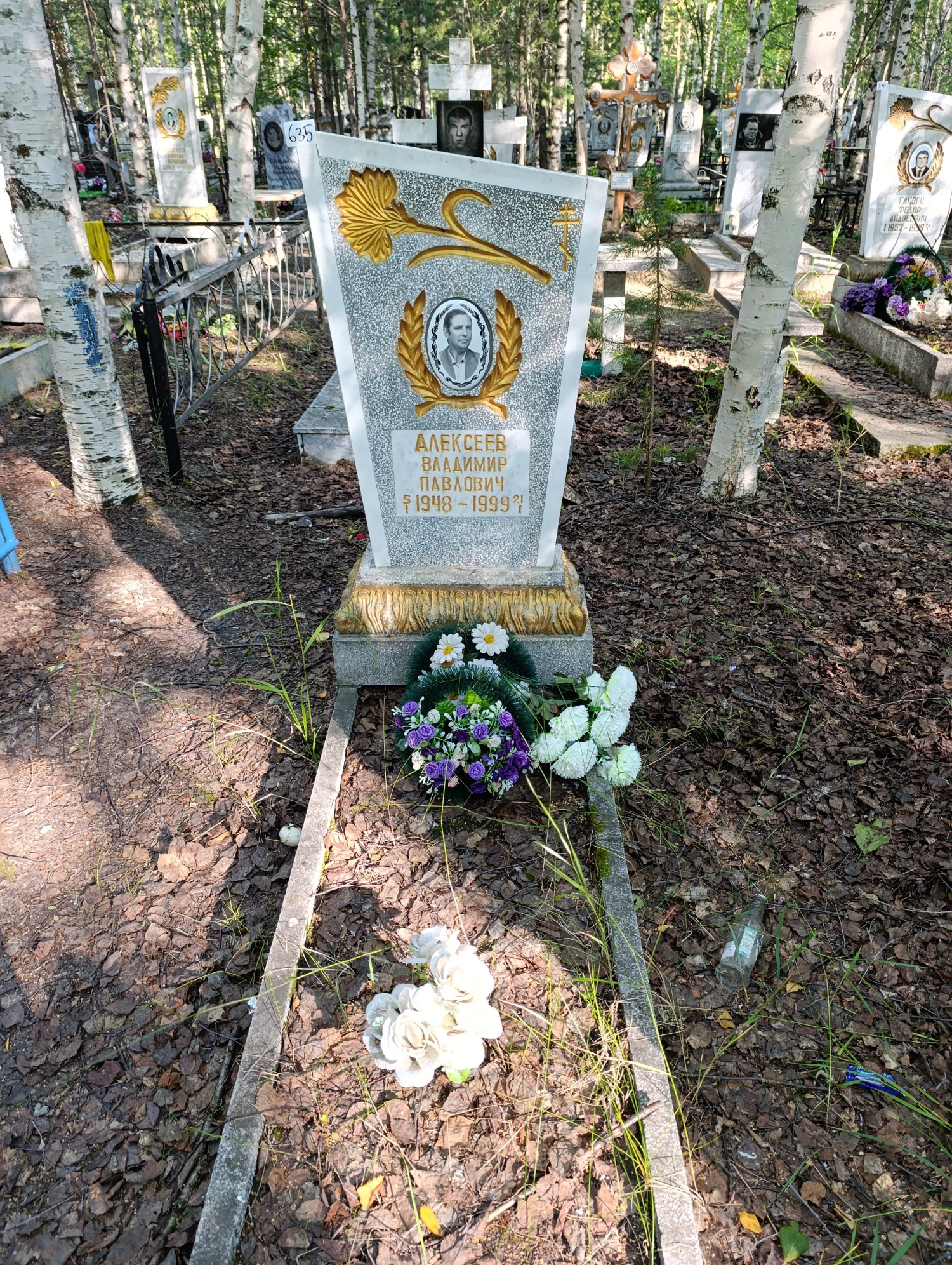 Алексеев Владимир Павлович