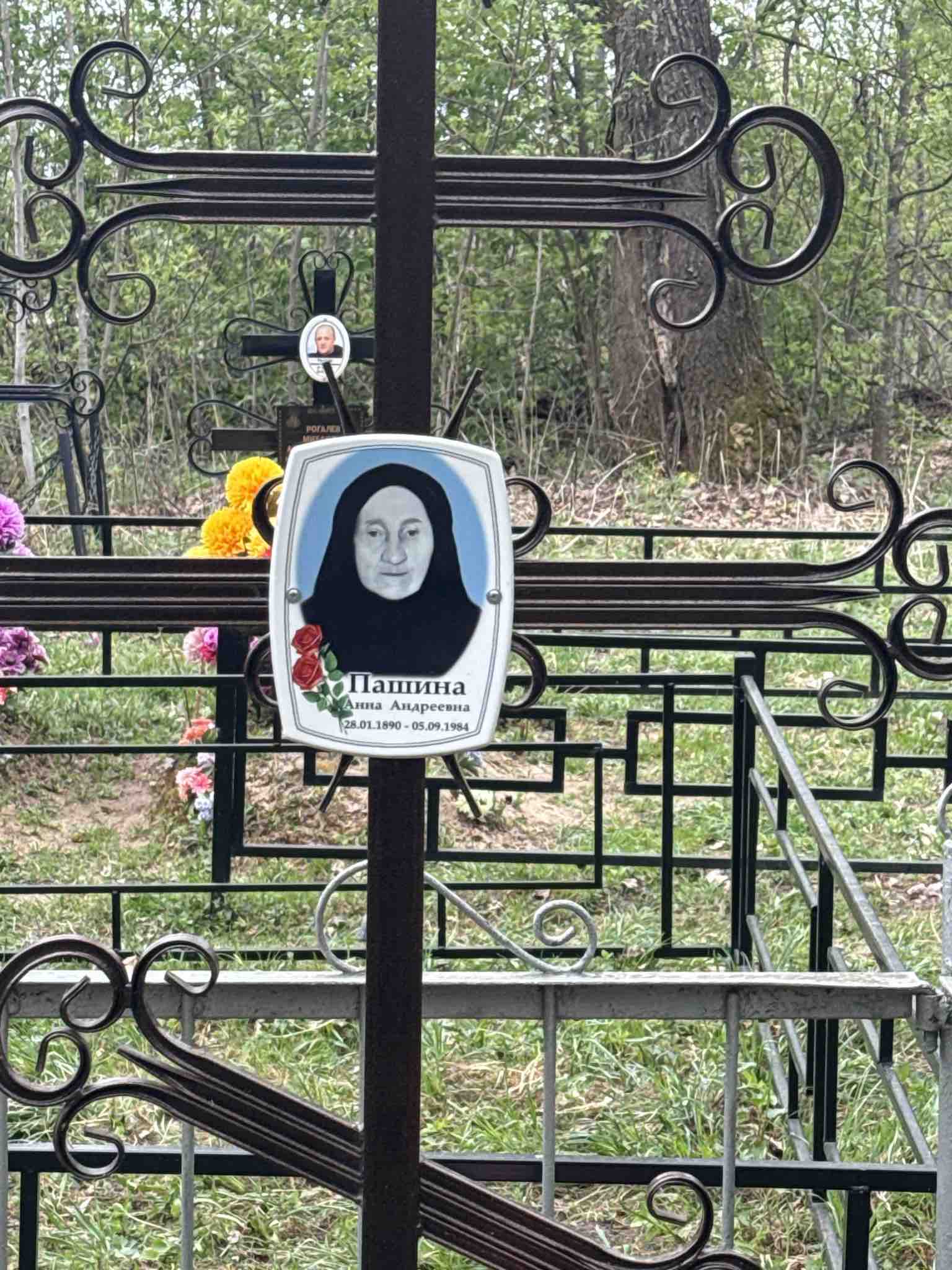 Пашина Анна Андреевна