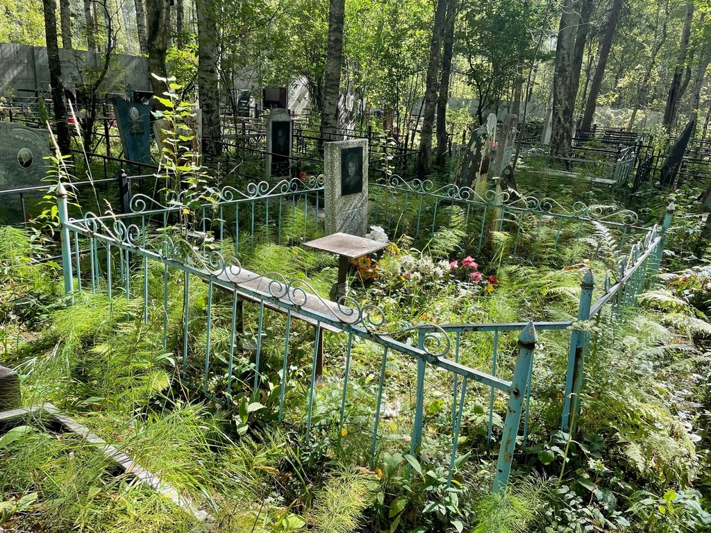 Петрова Наталья Евгеньевна