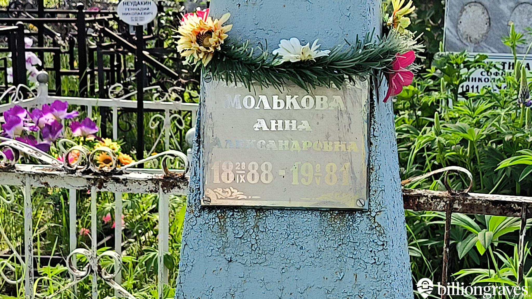Молькова Анна Александровна