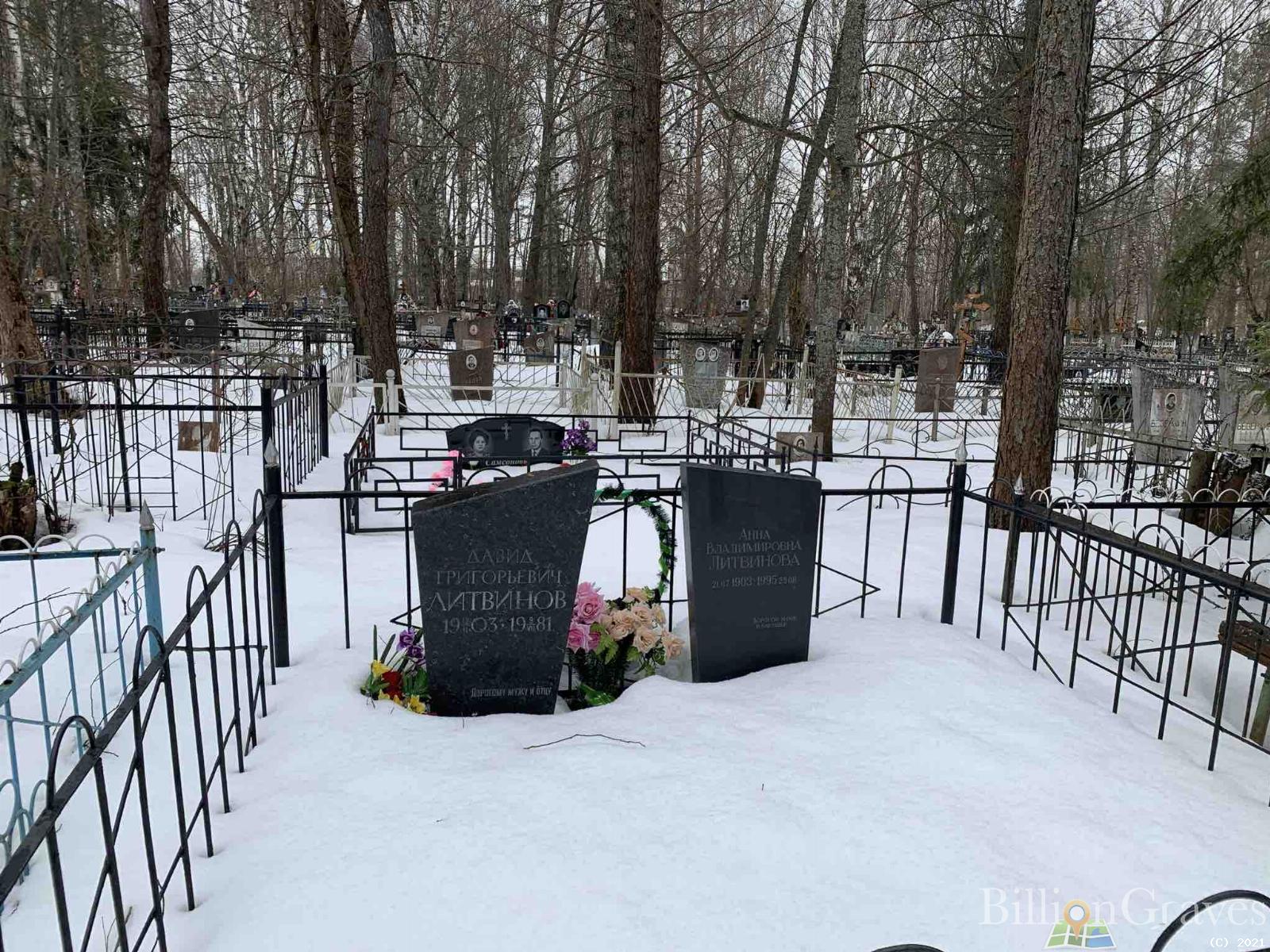 Литвинов Давид Григорьевич