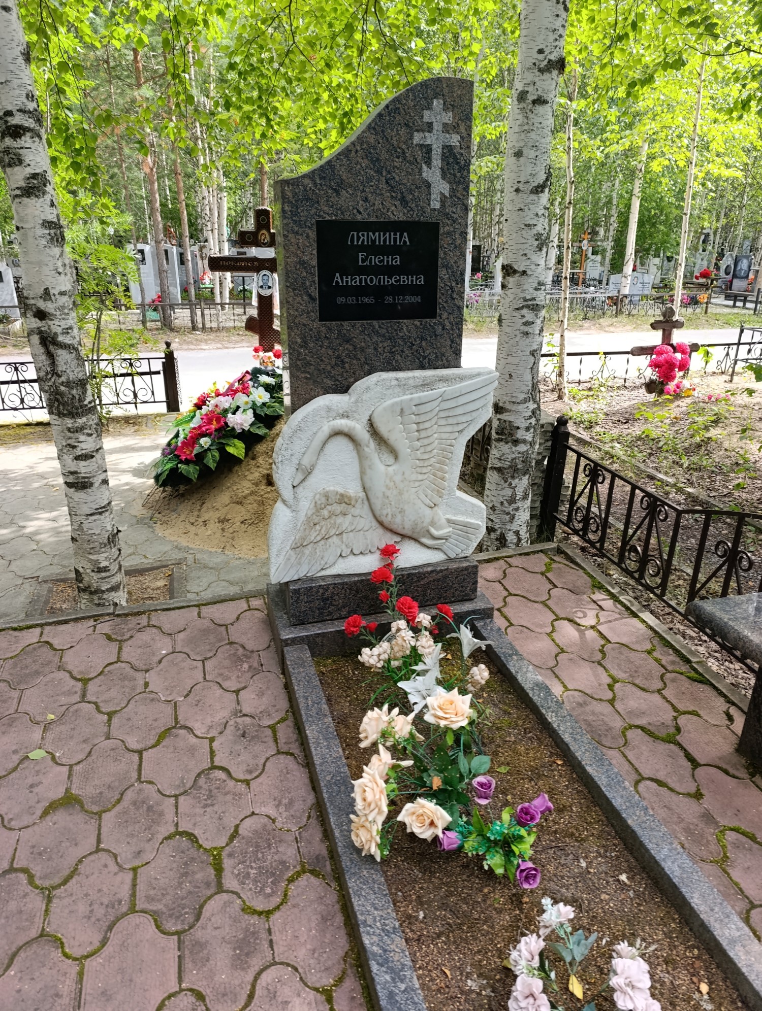 Лямина Елена Анатольевна