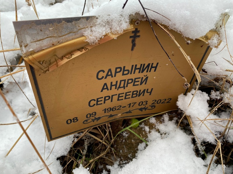 Сарынин