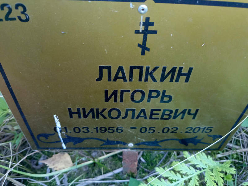 Лапкин