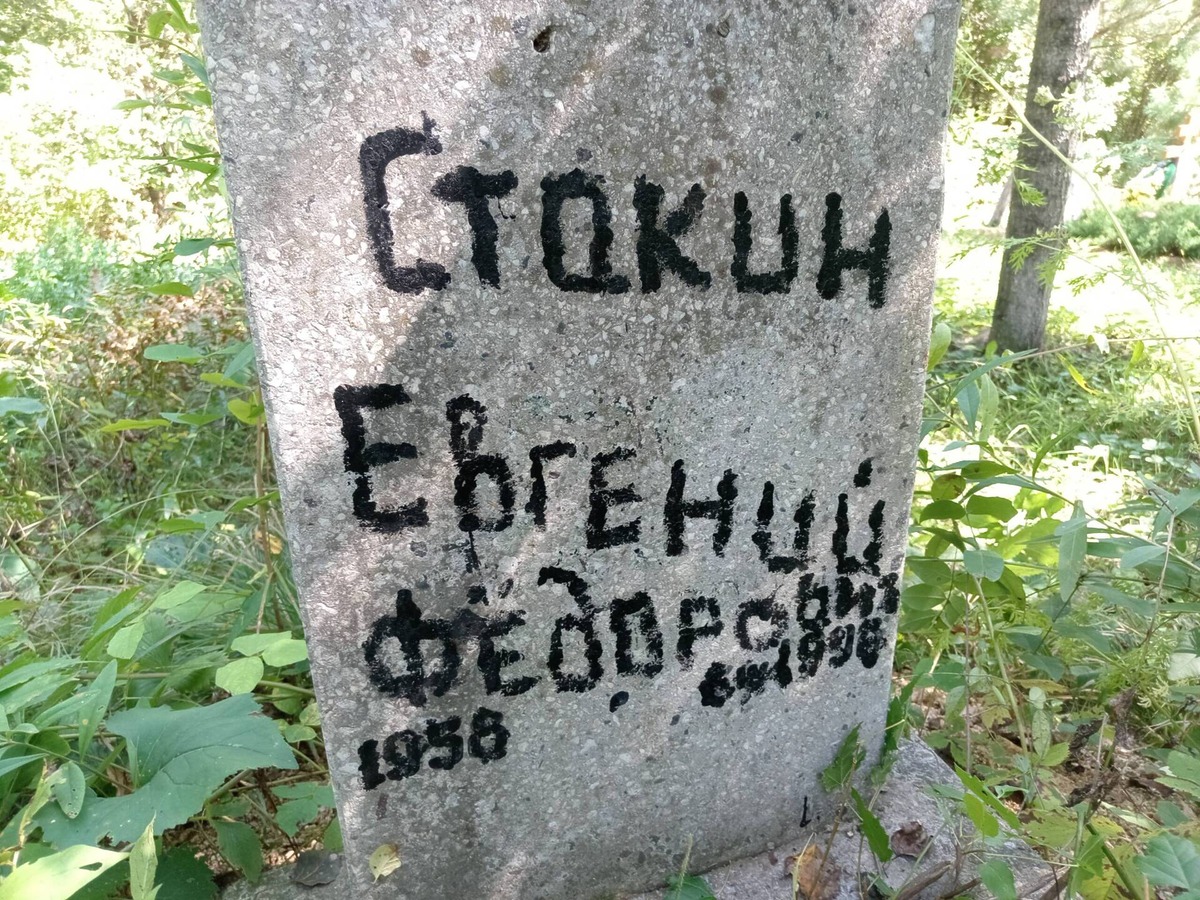 Стакин Евгений Федорович