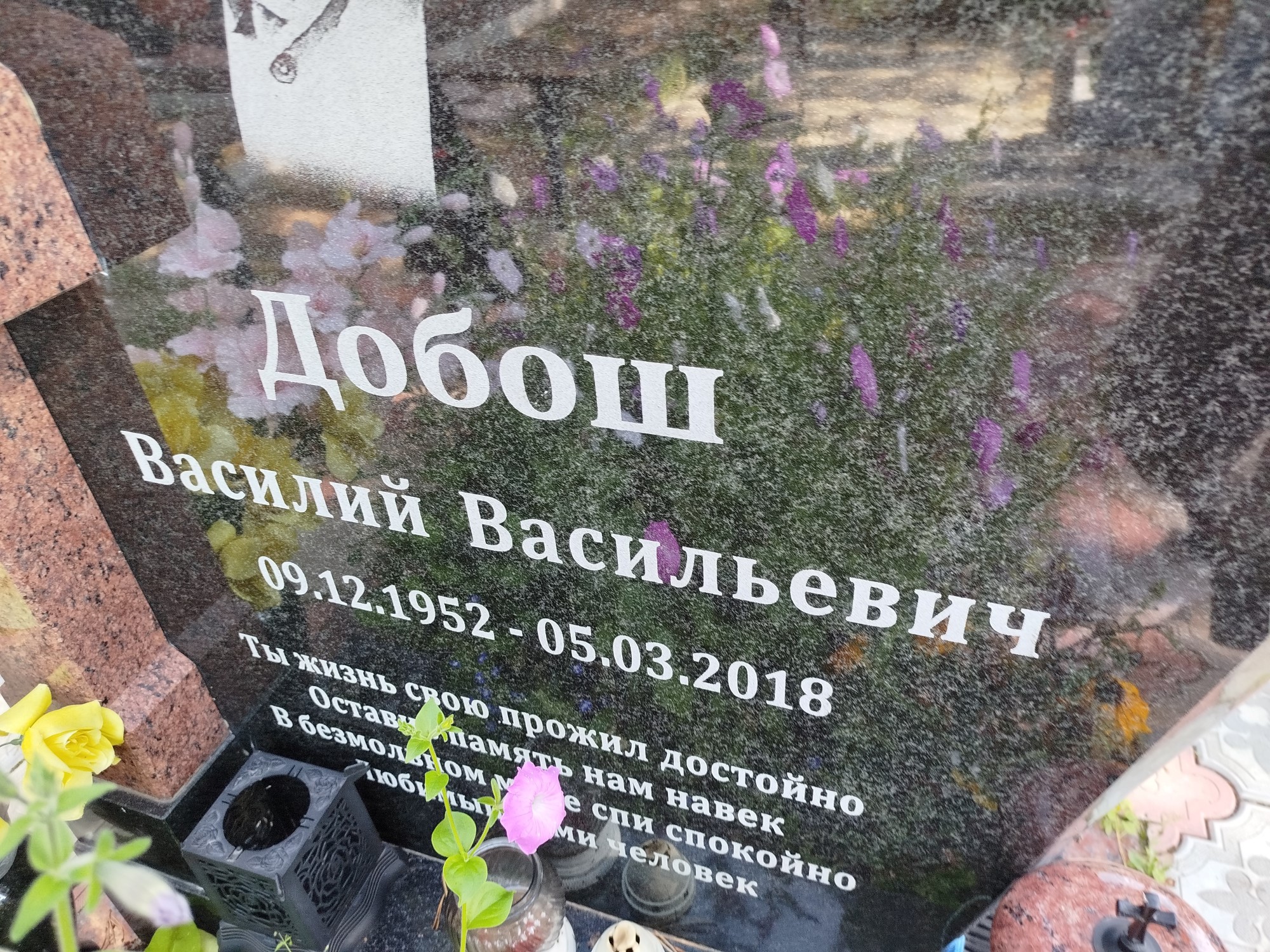 Добош Василий Васильевич