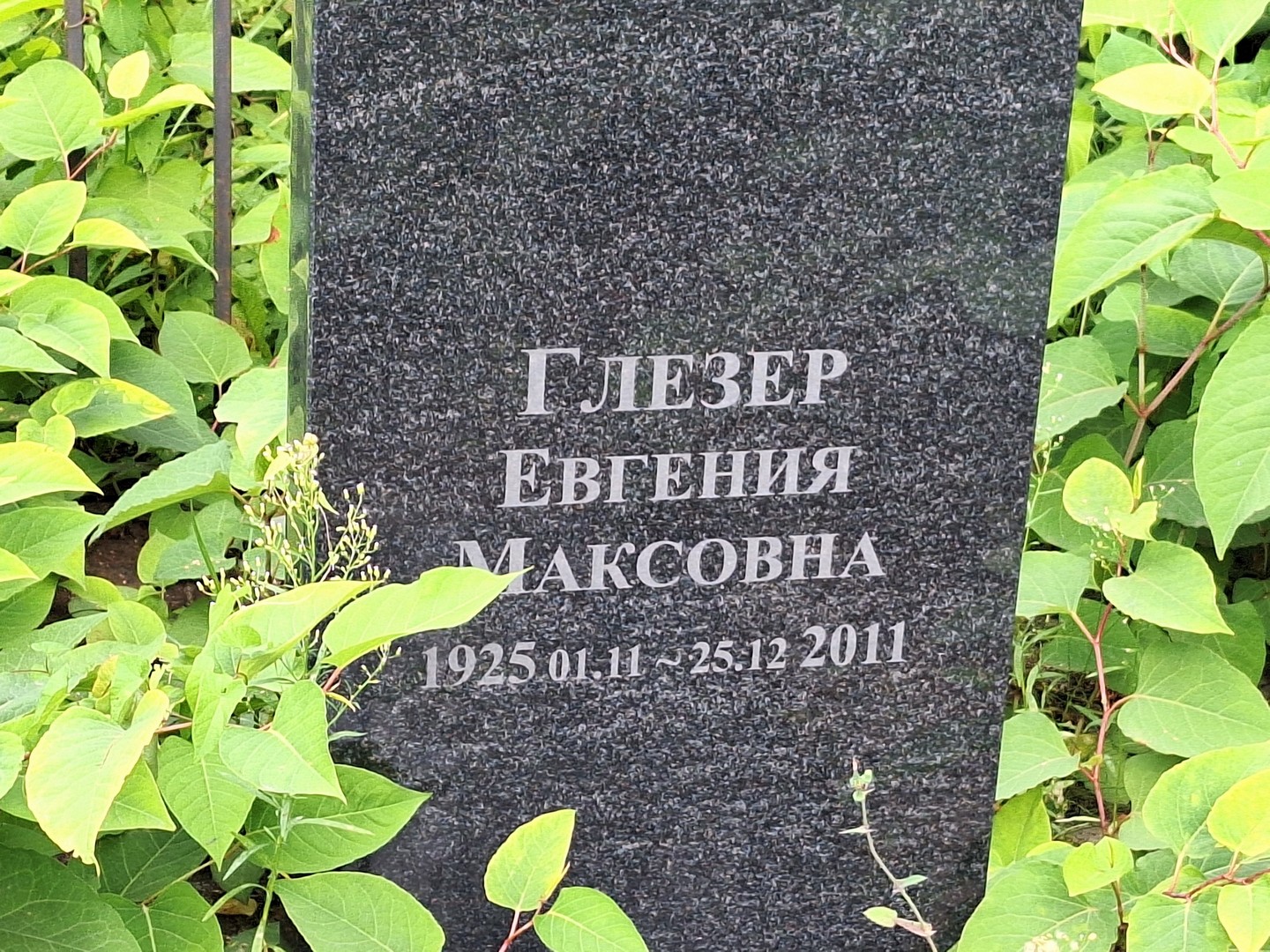 Евгения Глезер Максовна
