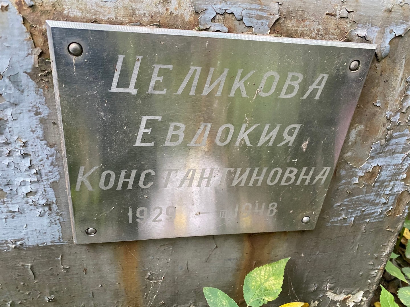Целикова