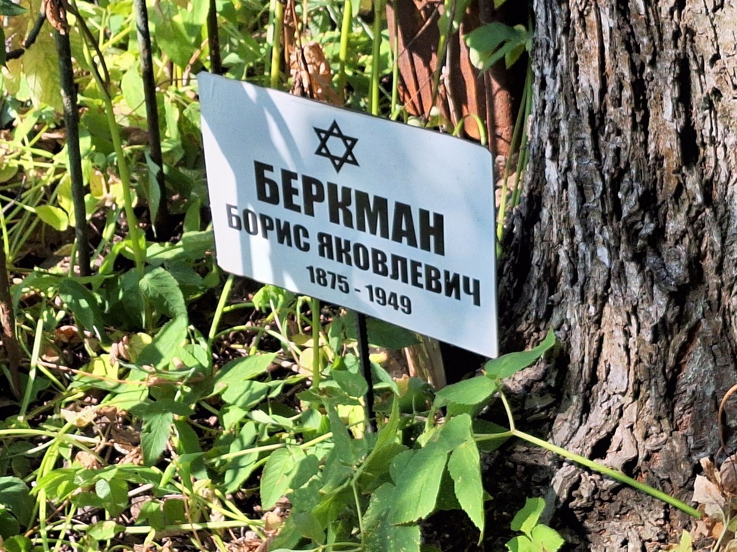 Беркман