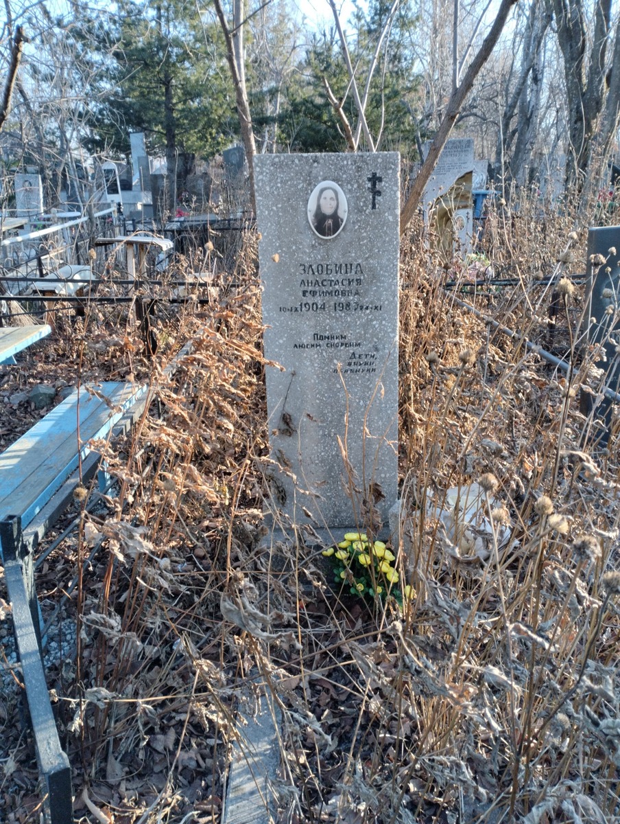 Злобина Анастасия Ефимовна