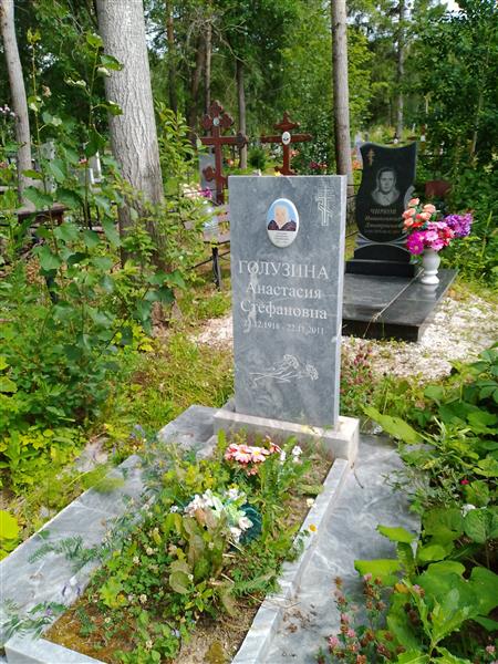 Голузина Анастасия Стефановна