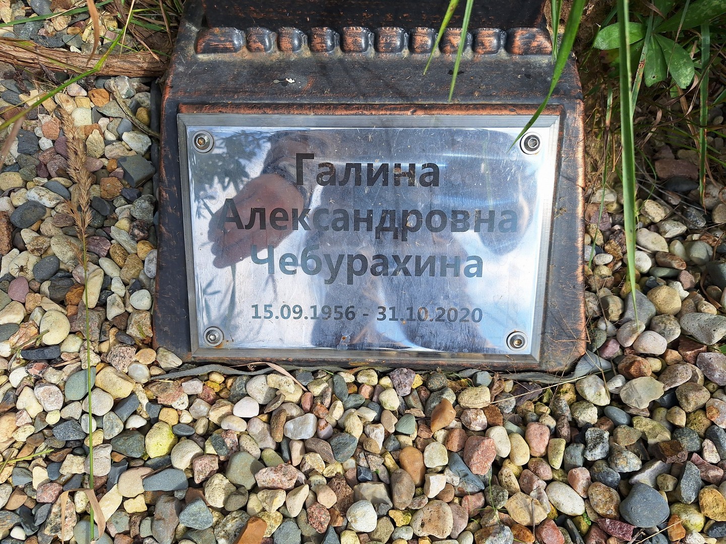 Чебурахина