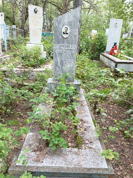 Друинский И. З.
