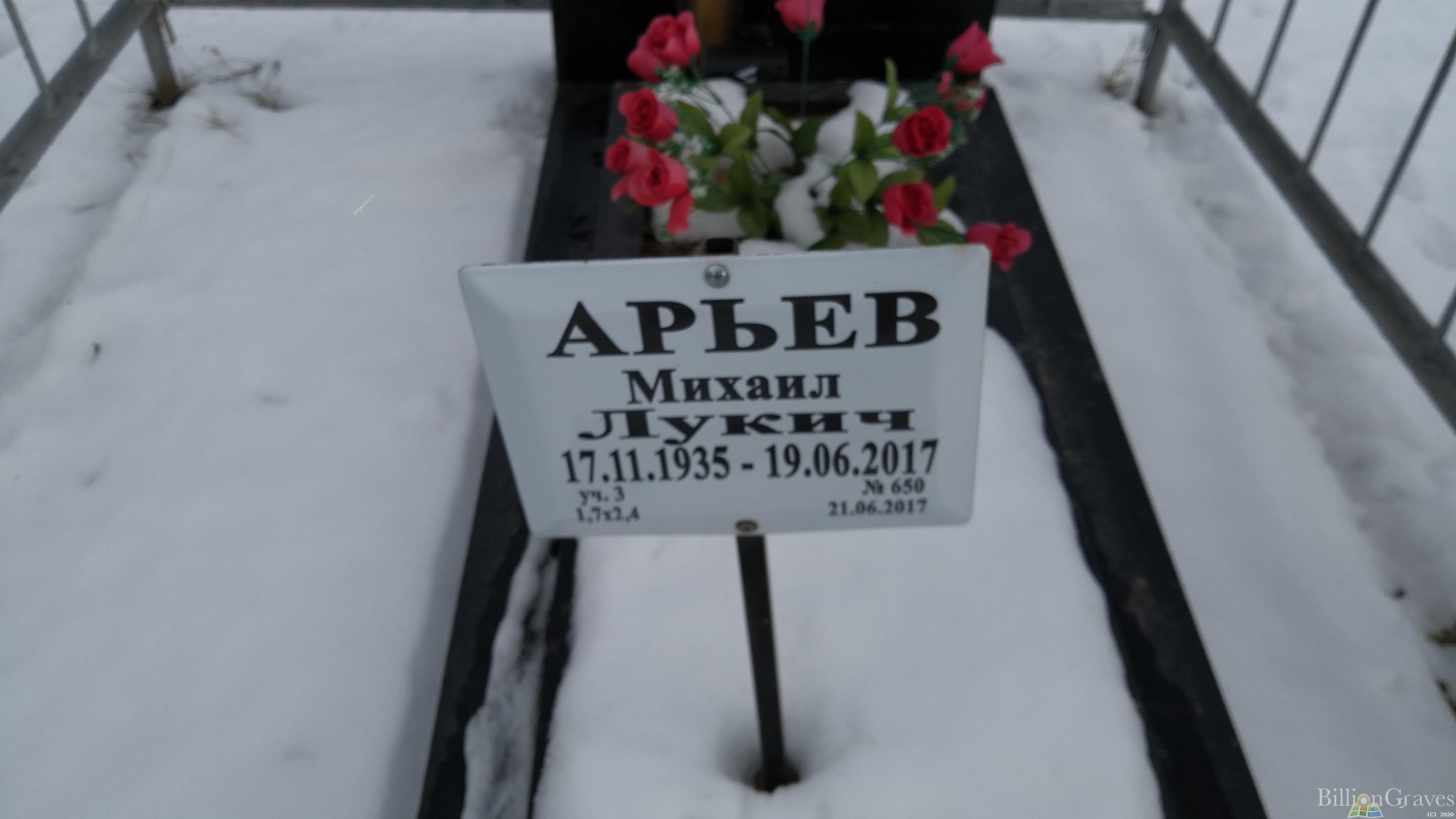 Арьев Михаил Лукич