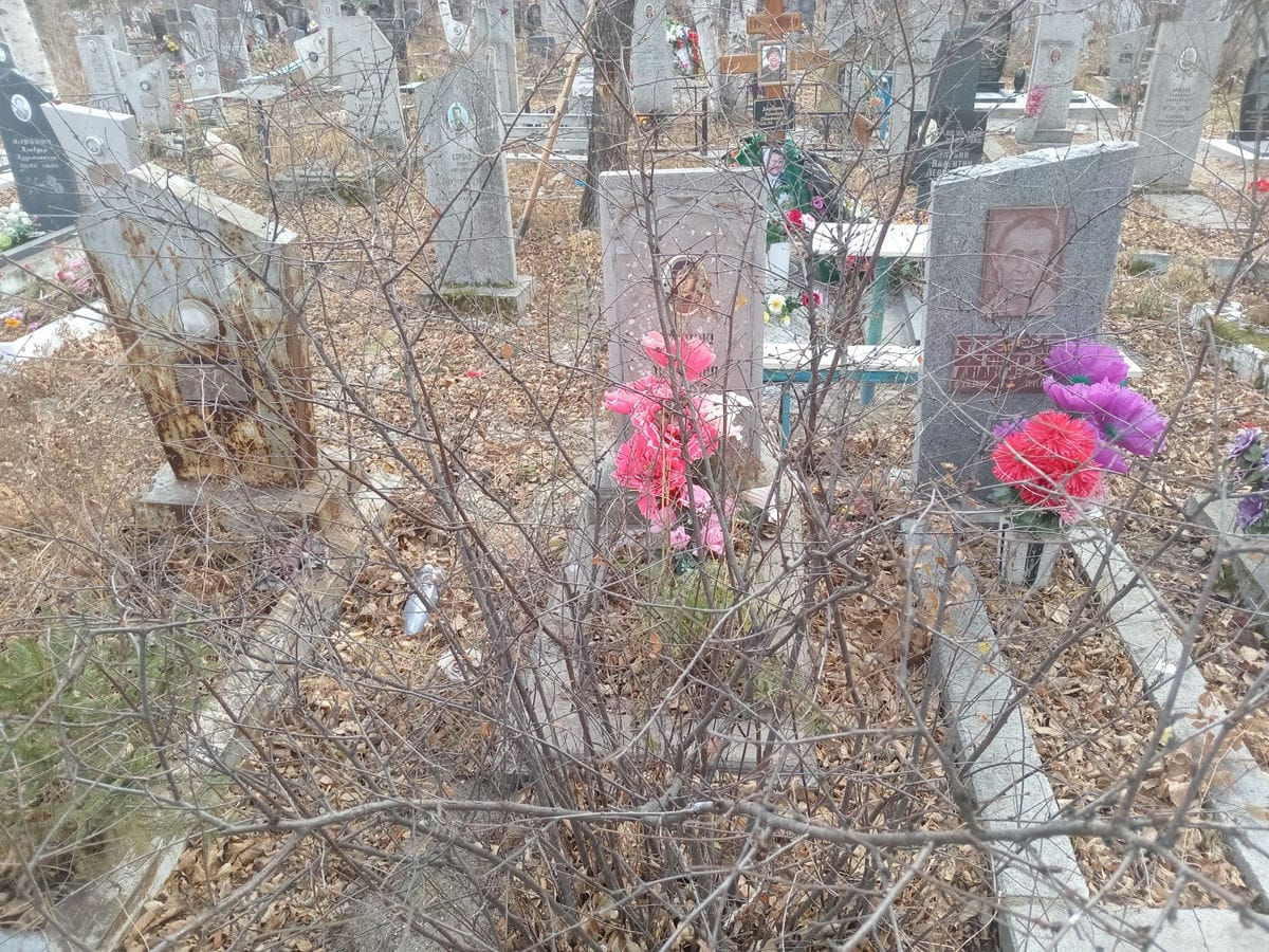Дронина Елена Петровна