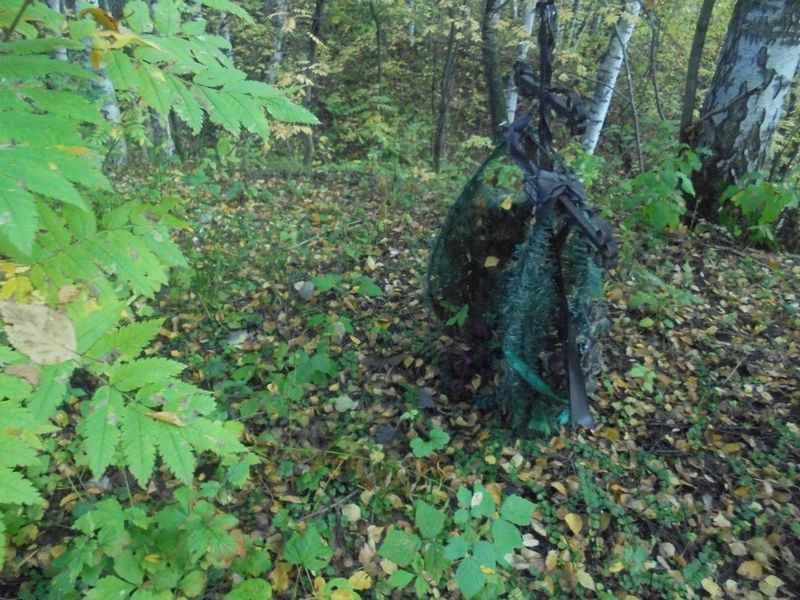 Суворова Альбина Викторовна