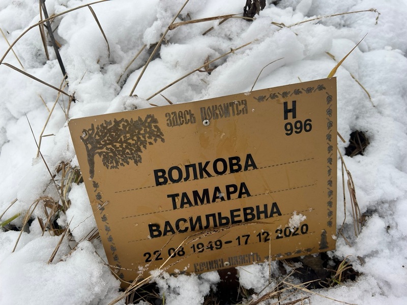 Волкова