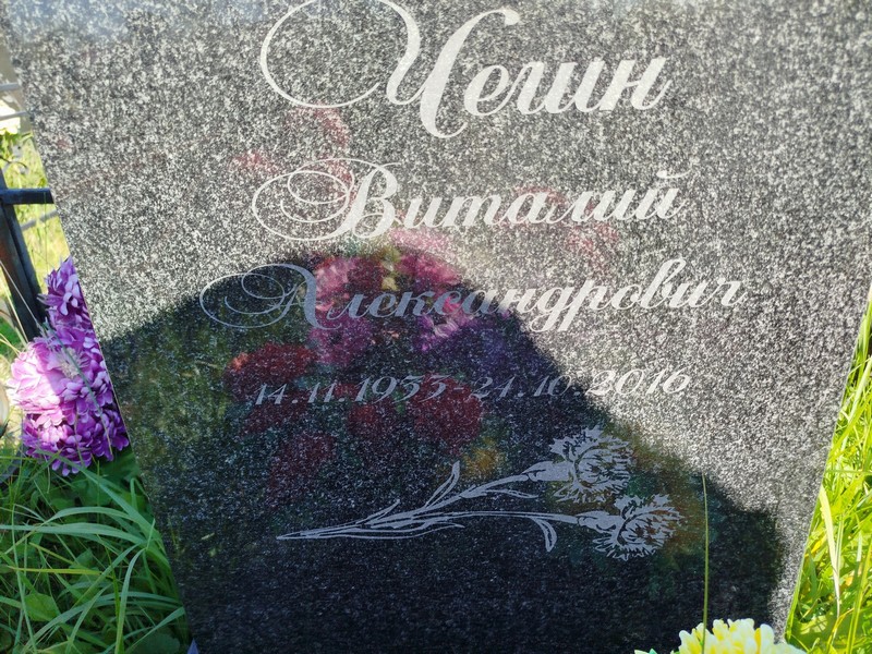 Чегин