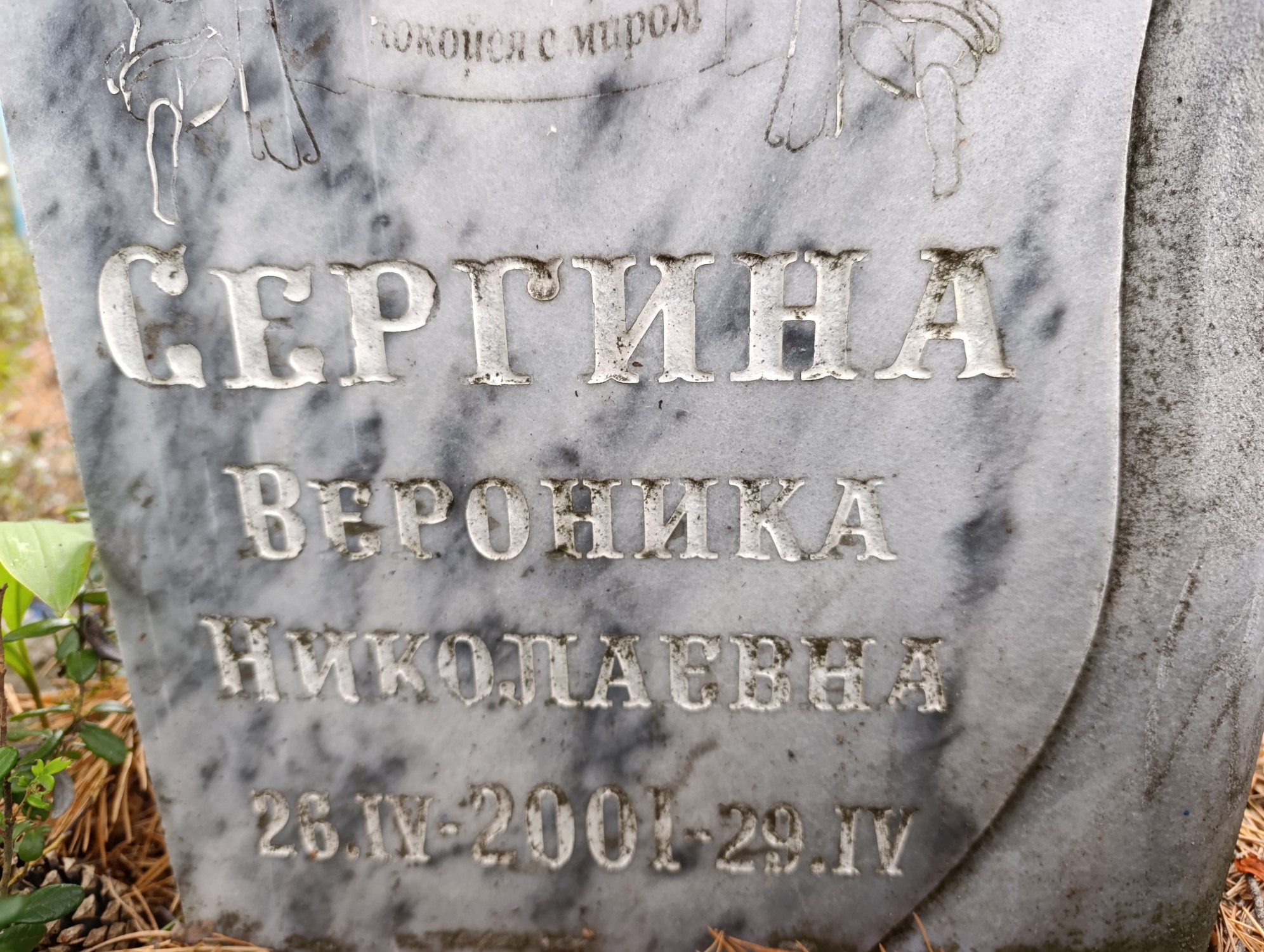 Сергина Вероника Николаевна