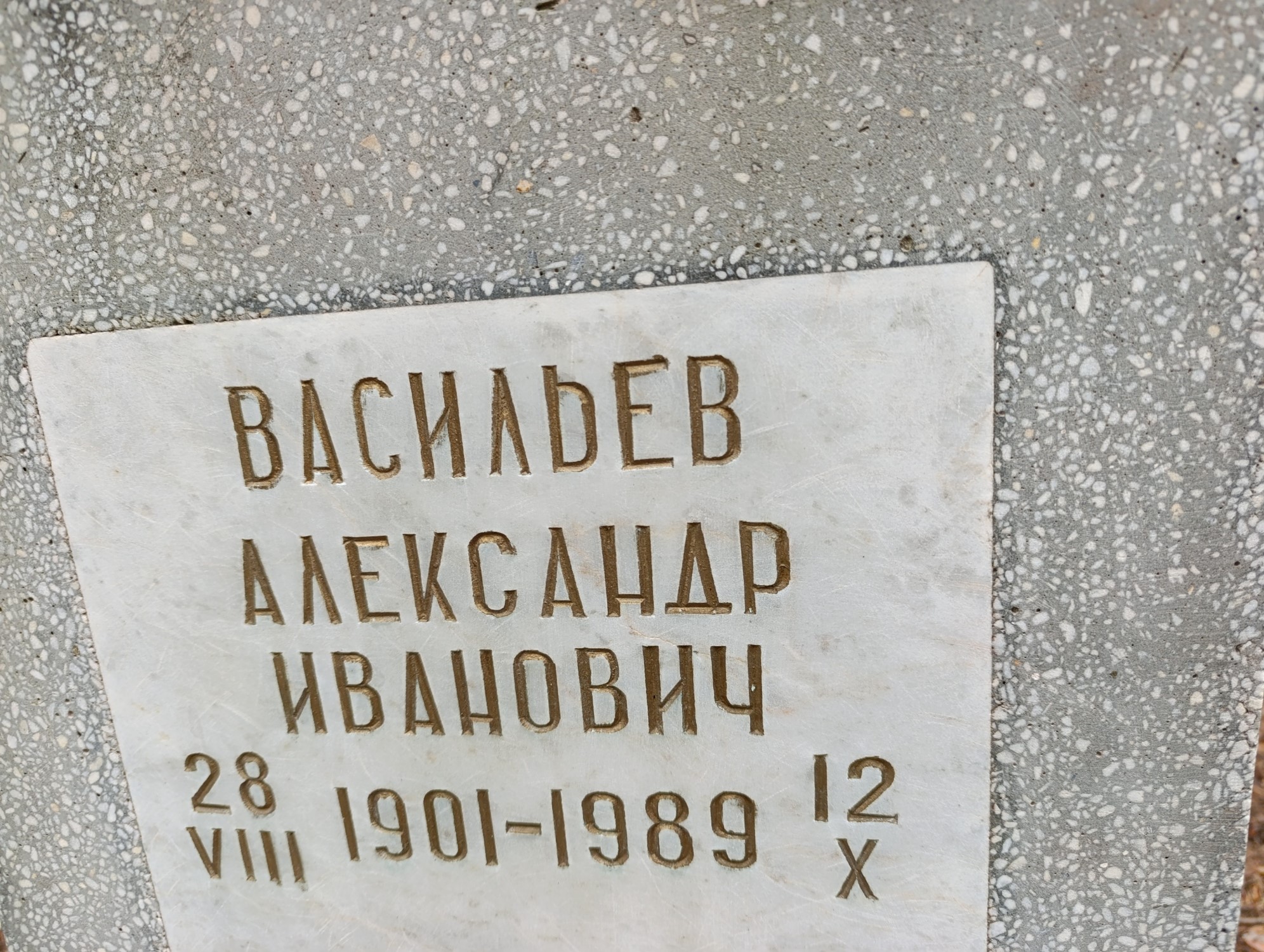 Васильев Александр Иванович