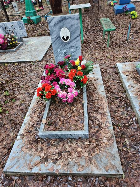 Воронина Анастасия Михайловна