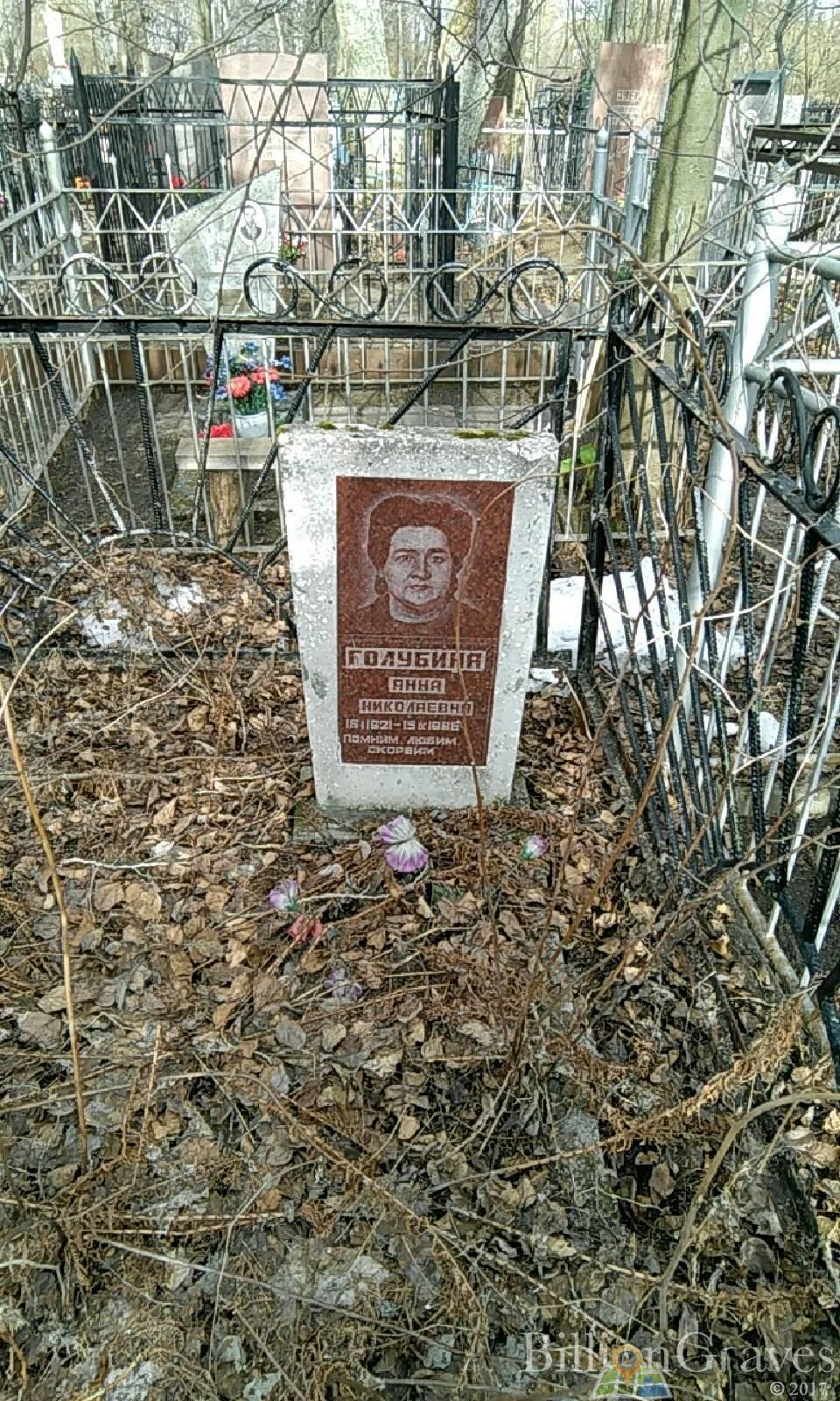 Голубина Анна Николаевна