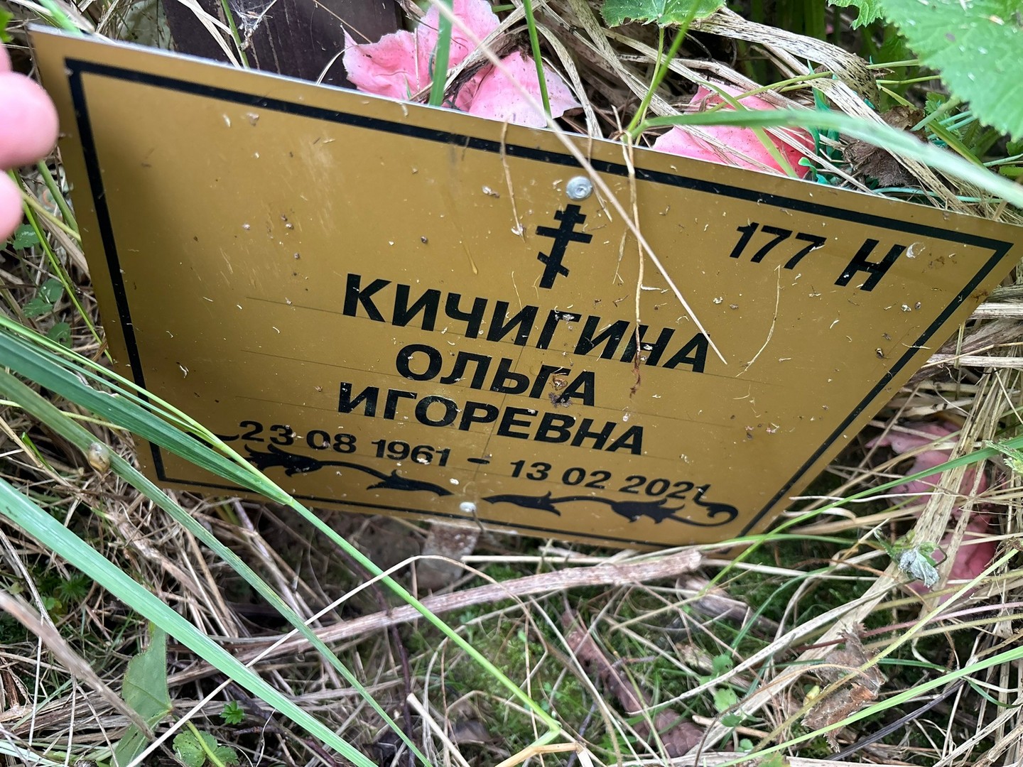Кичигина