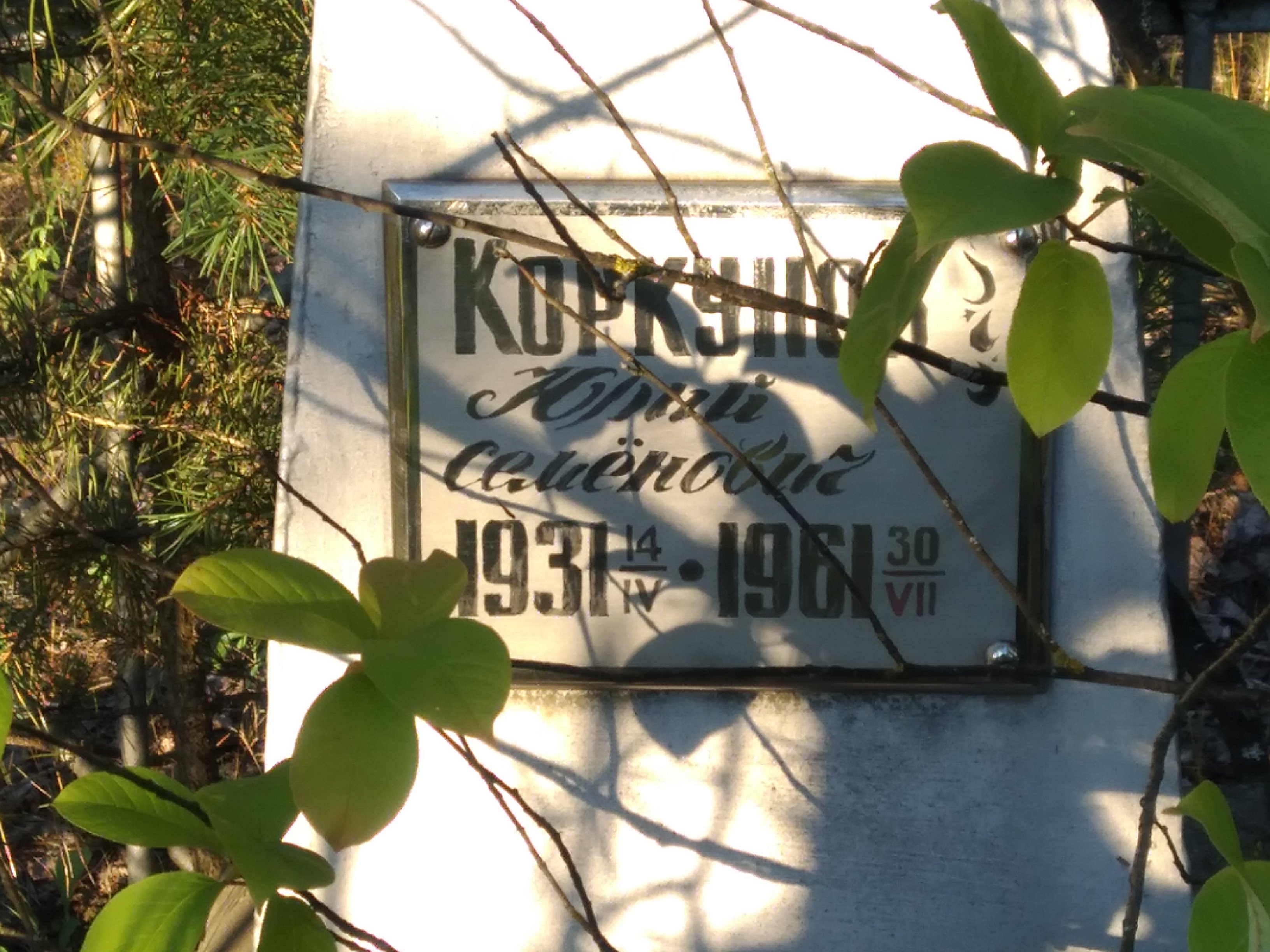 Коркунов Юрий Семёнович