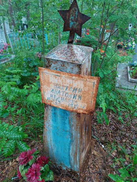 Никулин Анатолий Иванович