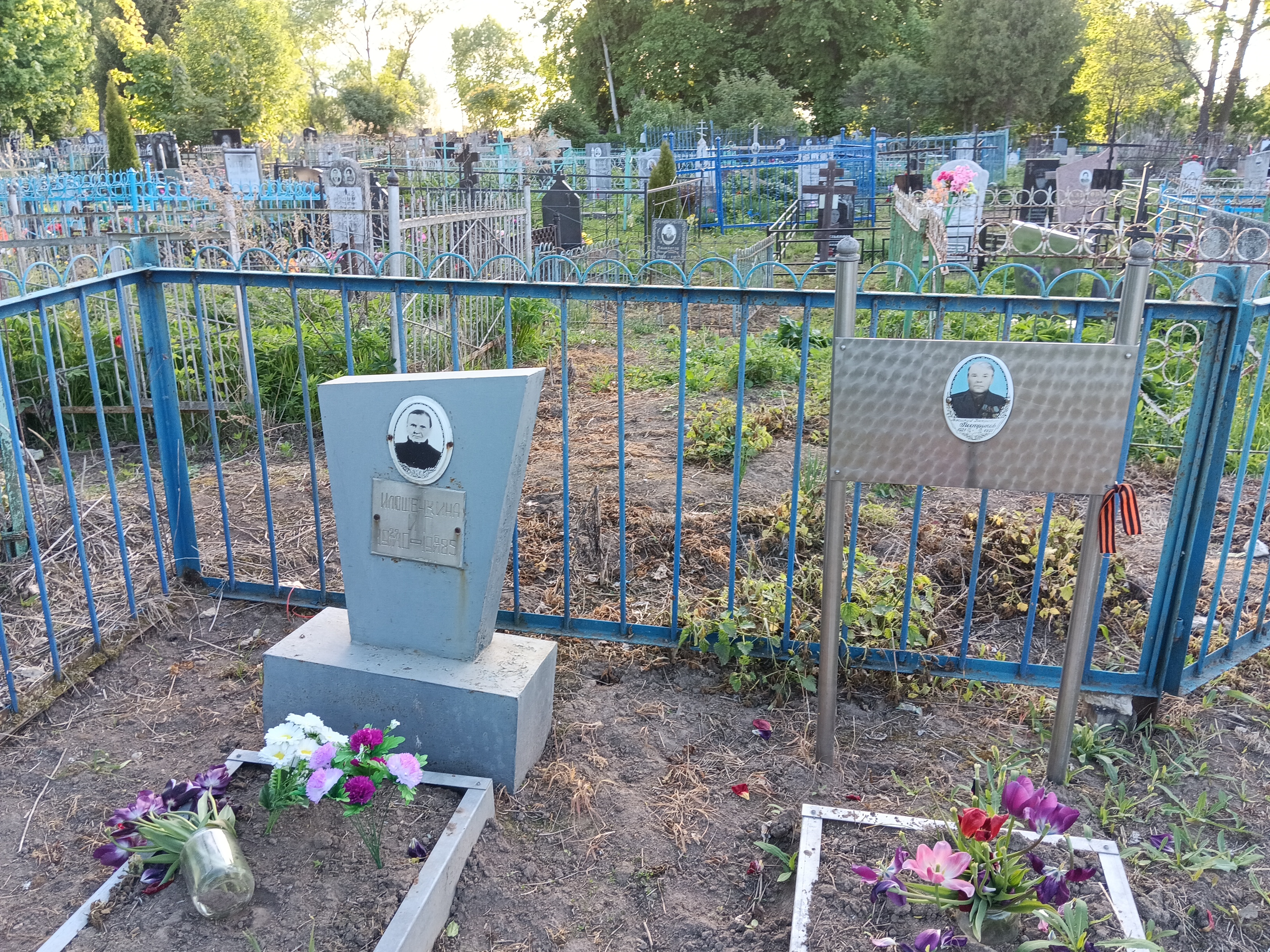 Илюшечкина И. Г.