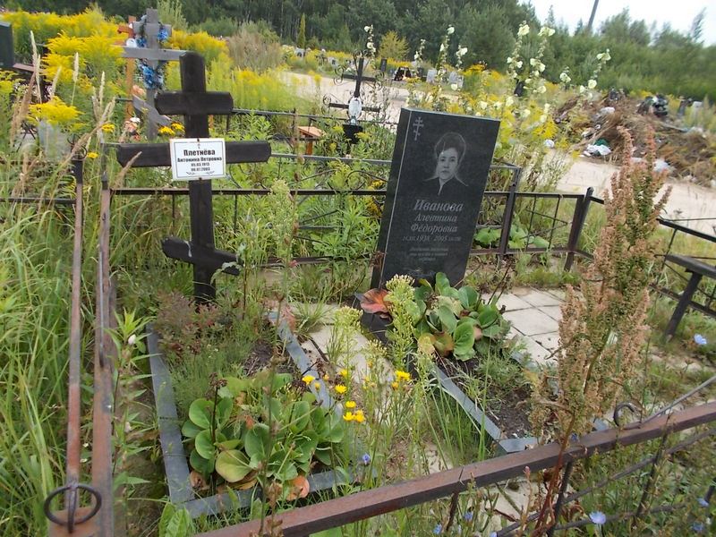 Плетнёва Антонина Петровна