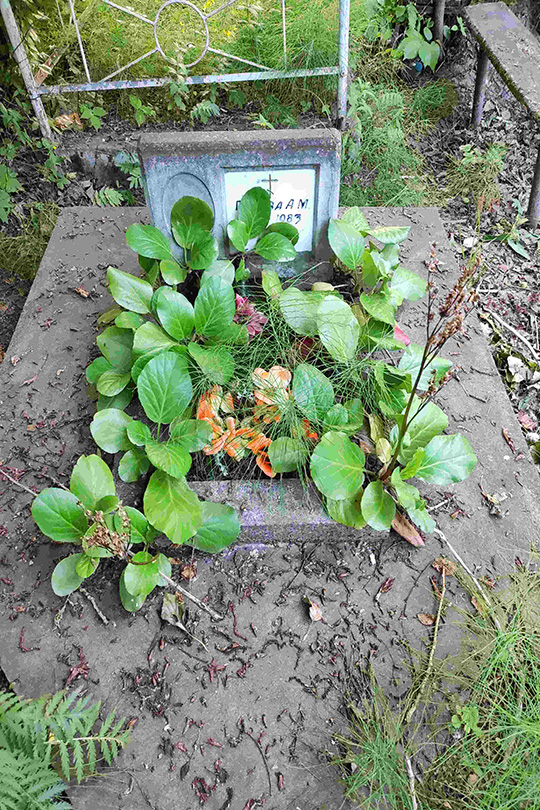 Попова А. М.