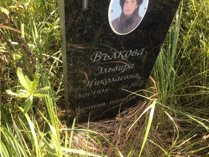 Эльвира Вълкова Николаевна