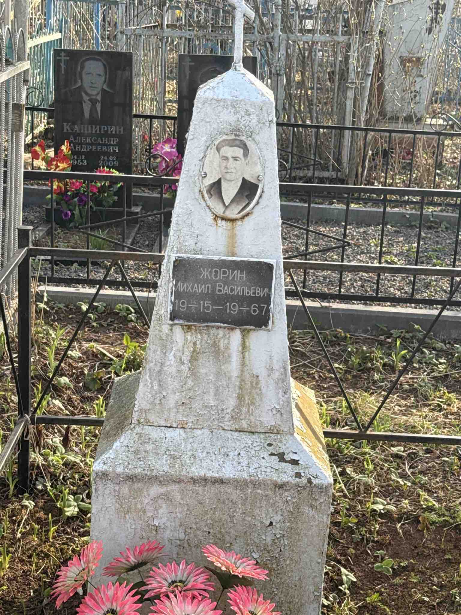 Жорин Михаил Васильевич