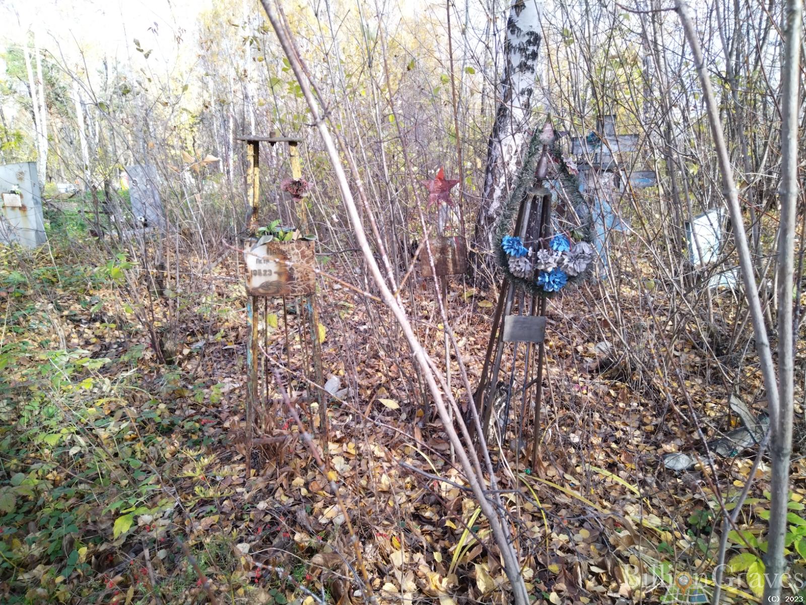 Дмитриева Вера Сергеевна
