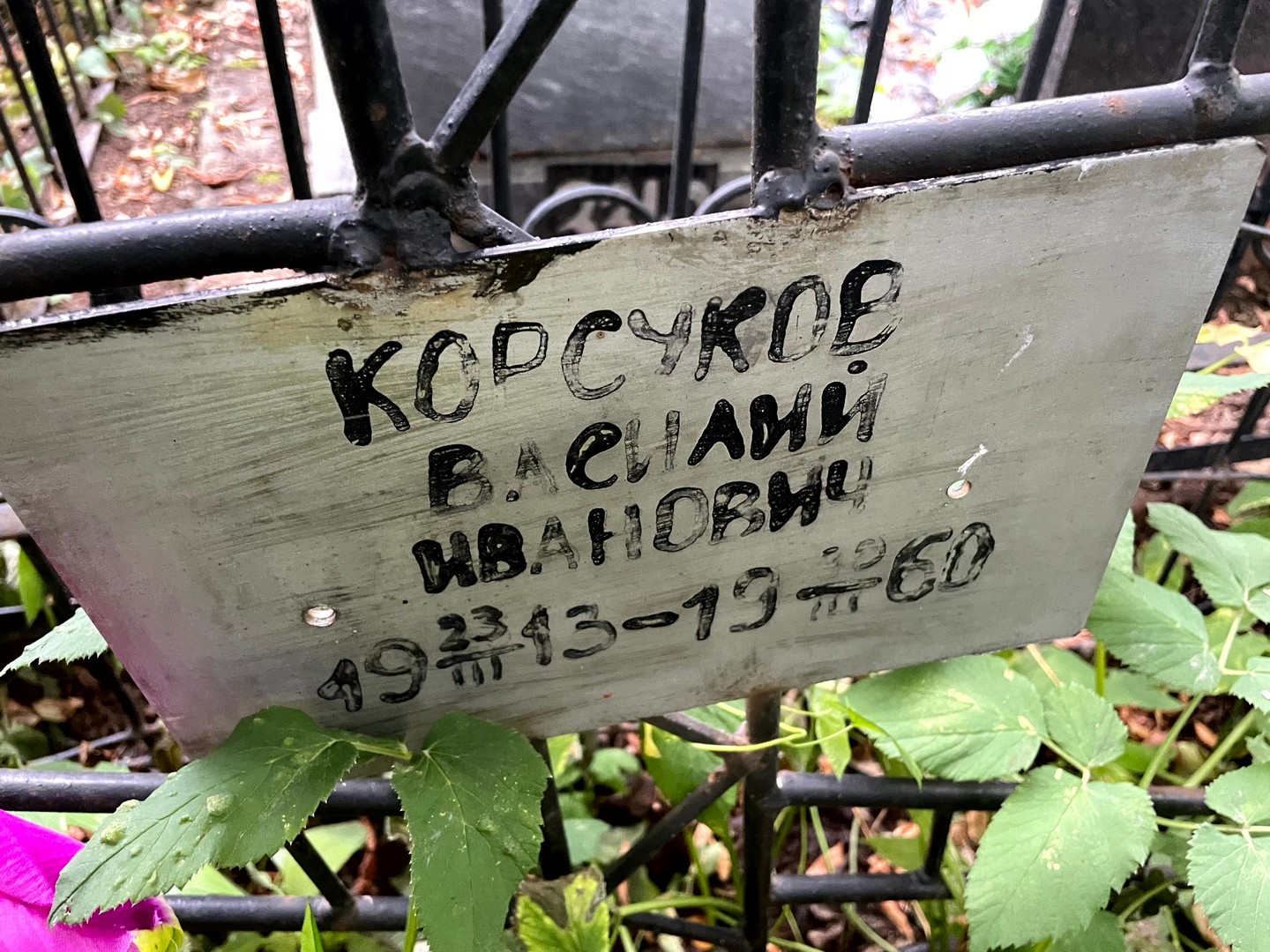 Корсуков