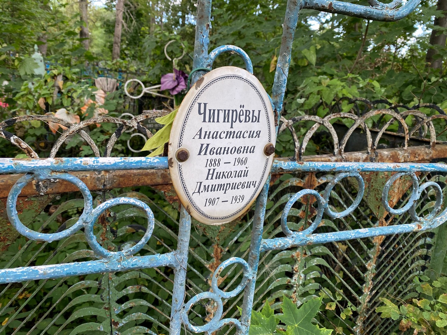 Чигирева Анастасия Ивановна